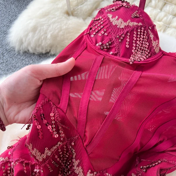 ZT1539 High-end Elegant Banquet Party Evening Gown Women Sexy See-through Mesh Fringe Sequin Slim Fishtail Halter Maxi Dress - Image 4